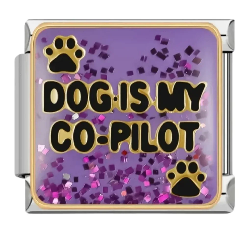 چارم ایتالیایی طرح Dog Is My Co-Pilot | اکسسوری خاص پت‌دوستان