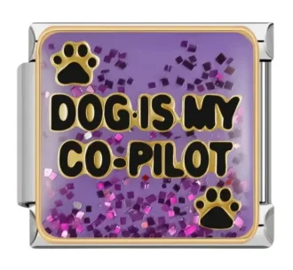 چارم ایتالیایی طرح Dog Is My Co-Pilot | اکسسوری خاص پت‌دوستان