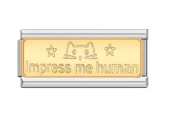 چارم ایتالیایی بلند گربه مدل Impress Me Human | هنریتو